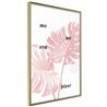 Poster - Pale Pink Monstera