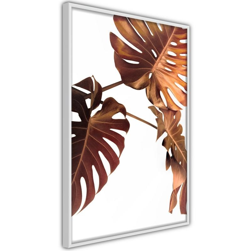 Poster - Copper Monstera