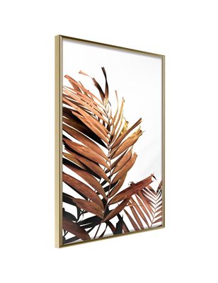 Poster - Copper Palm