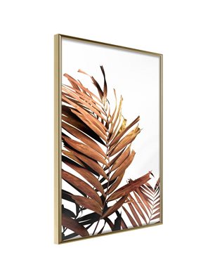 Poster - Copper Palm