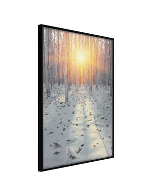 Poster - Frosty Sunset