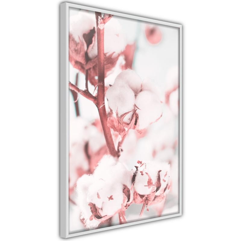 Poster - Cotton Flowers