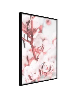 Poster - Cotton Flowers