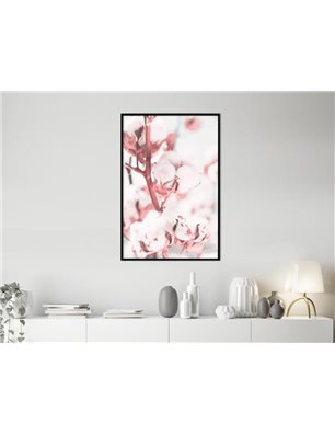 Poster - Cotton Flowers