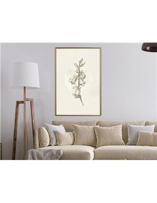 Poster - Beige Campanula