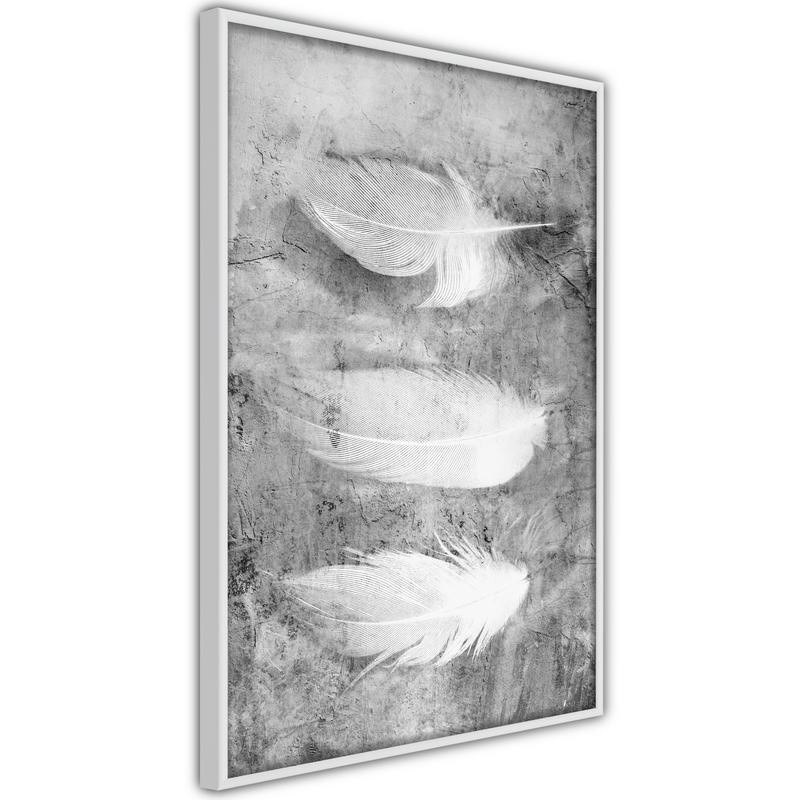 Poster - Delicate Feathers