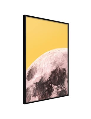 Poster  Pink Moon