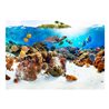Fotomurale adesivo - Banco corallino