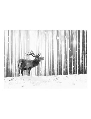 Fotomurale adesivo - Deer in the Snow (Black and White)