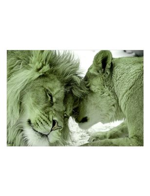 Carta da Parati Lion Tenderness Verde