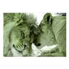 Carta da Parati Lion Tenderness Verde