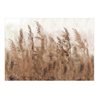 Fotomurale adesivo - Tall Grasses - Brown