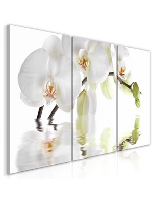 Quadro - Wonderful Orchid (3 Parts)