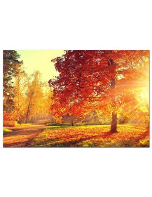 Quadro - Autumn Afternoon (1 Part) Wide