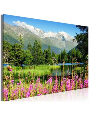 Quadro - Spring in the Alps (1 Part) Wide