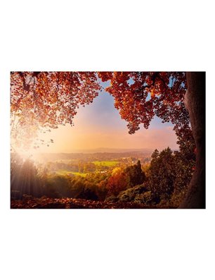 Fotomurale adesivo - Autumn Delight