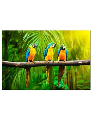 Quadro - Parrot Trio (1 Part) Wide