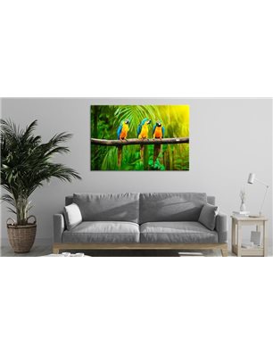 Quadro - Parrot Trio (1 Part) Wide