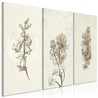 Quadro - Herbarium (3 Parts)