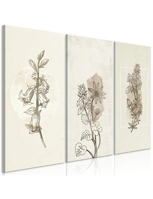 Quadro - Herbarium (3 Parts)