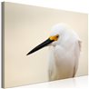 Quadro - Snowy Egret (1 Part) Wide