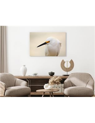 Quadro - Snowy Egret (1 Part) Wide