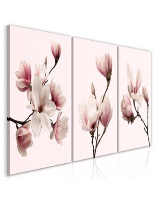 Quadro - Spring Magnolias (3 Parts)