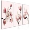 Quadro - Spring Magnolias (3 Parts)