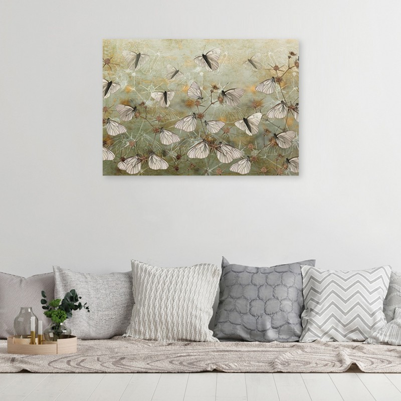 Quadro Canvas Rettangolare Shabby Chic Butterfly Collection Terza Variante  51 x 35