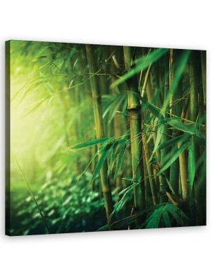 Zen Verde - quadro moderno per bagno soggiorno camera da letto stampa su  tela bamboo verde 152x78 cm