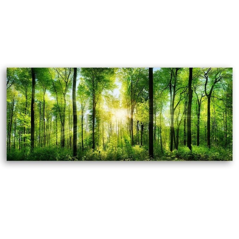 Immagini di paesaggi albero verde tela pittura foresta poster e