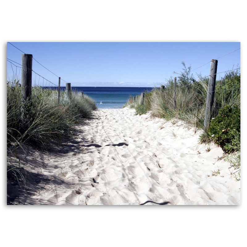 Quadro su tela, Dune sentiero spiaggia mare