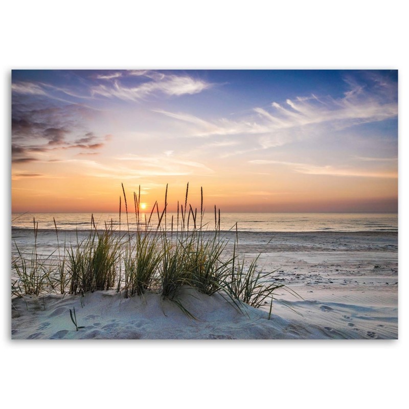 Quadro su tela, Spiaggia erba di mare tramonto