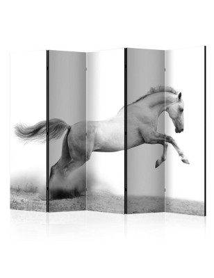 Paravento  White gallop II [Room Dividers]