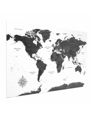 Poster - Monochromatic Map