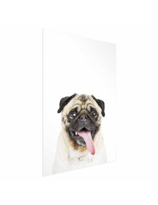 Poster - Pug