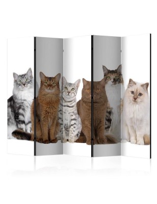 Paravento  Sweet Cats II [Room Dividers]