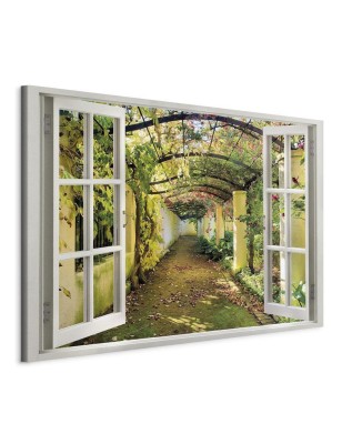 Quadro Window  View on Pergola