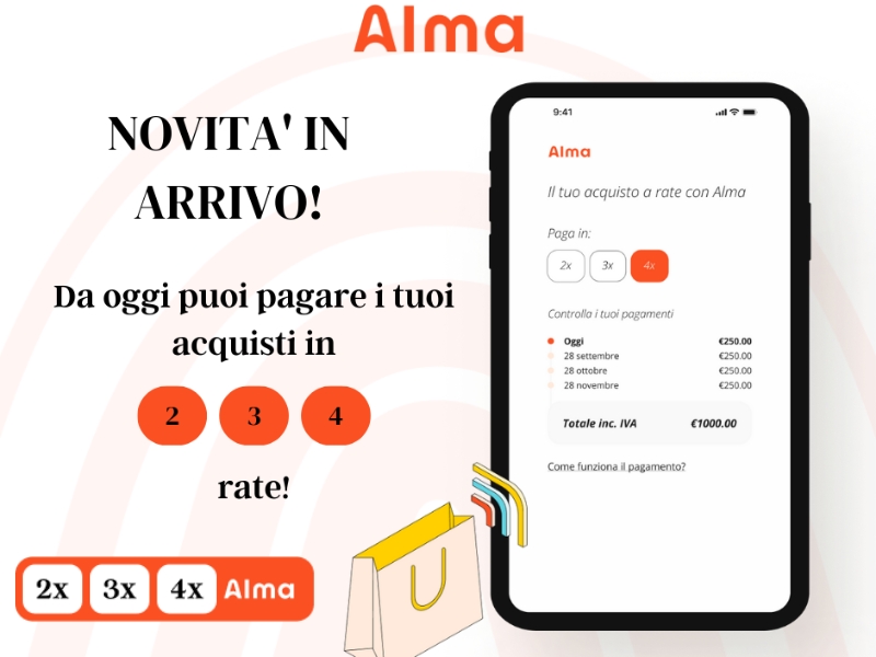 Introdotto su  il pagamento a rate - Alma Digital